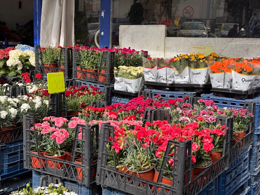 An outdoor flower stall featuring an array of vibrant potted flowers including pink and red carnations, white and yellow chrysanthemums, and orange marigolds arranged in black plastic crates. The flow